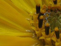 /album/fotogallerij/a2012-08-03-14-55-10-0115-jpg/